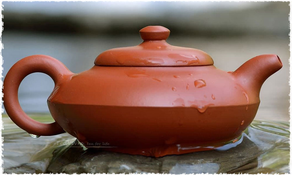 Six methods of brewing white tea teavivre