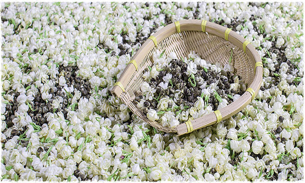 Jasmine Flower Tea The Smell of Spring teavivre