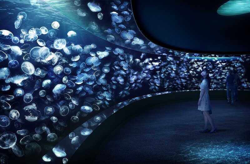 2020年新オープン＆リニューアルの「水族館・動物園」8選 子供とお出かけ情報「いこーよ」