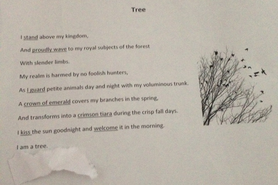 Tree Personification Poem DIY