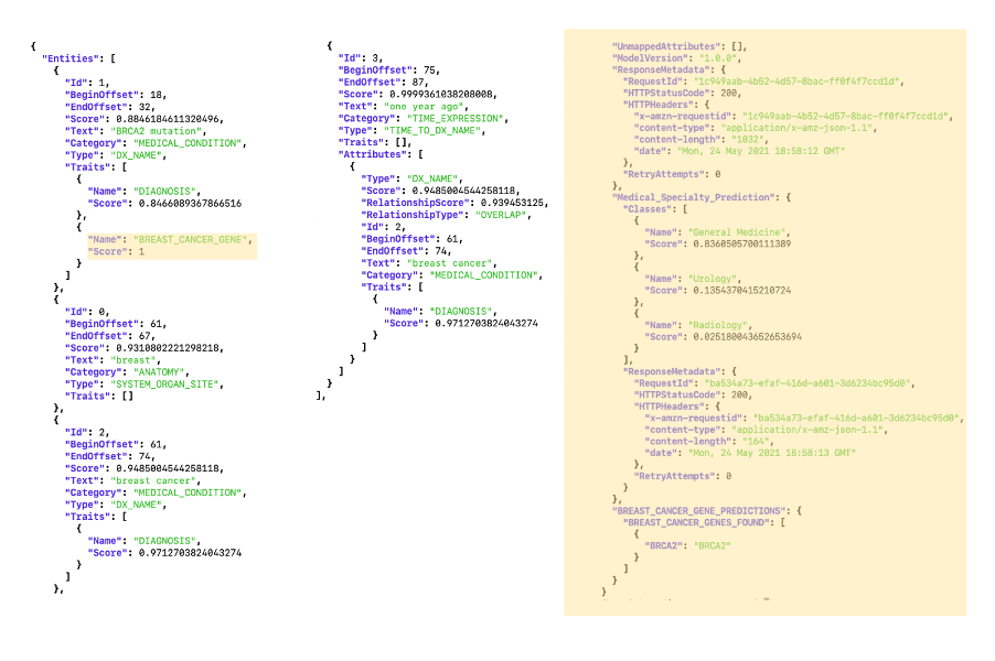 Enrich Amazon Comprehend Medical with Custom Code and Models AWS for