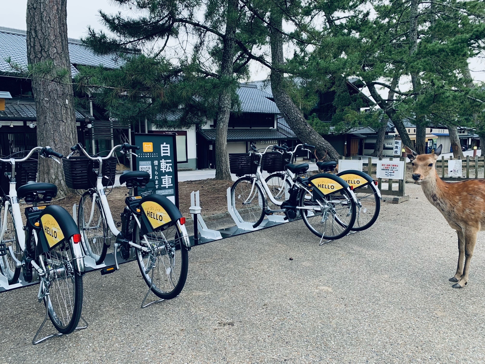 奈良公園浮雲園地(HELLO CYCLING,HELLO CYCLING)のレンタサイクル(自転車)・シェアサイクルポート情報 RYDE