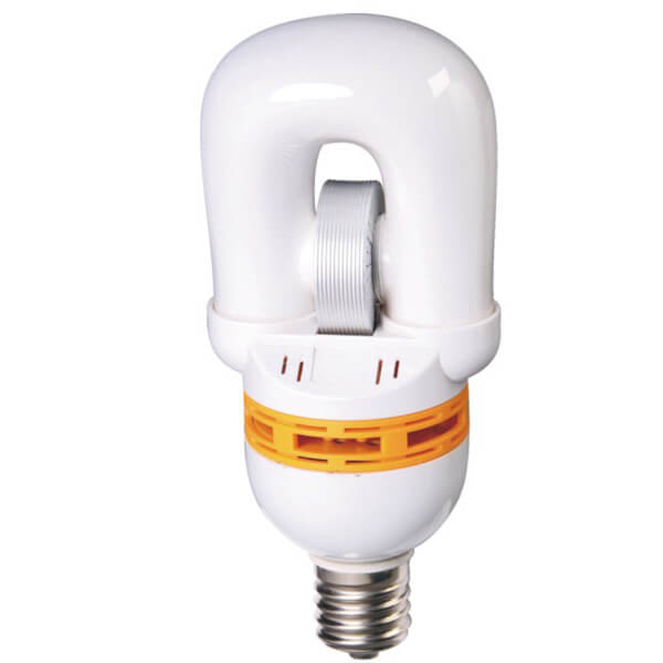 SelfBallast Induction Lamp