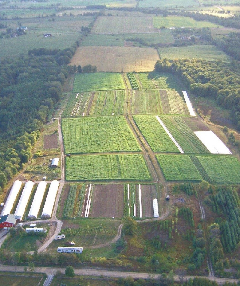 Farm Cookstown Greens Premium Organic Produce