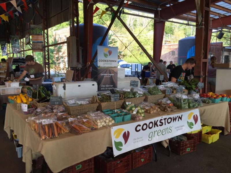 Farm Cookstown Greens Premium Organic Produce