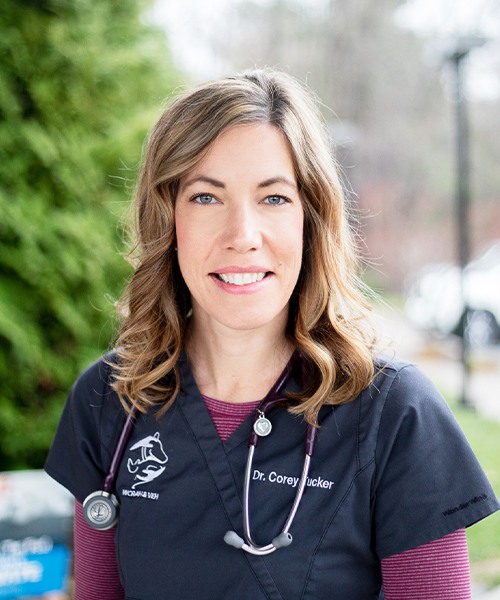 Tucker Vet In Orange Va at John Polk blog