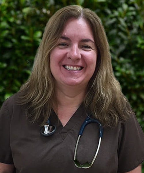 Dr. Elsa Le Bars, DVM Atlantic Coast New York Veterinary Specialists