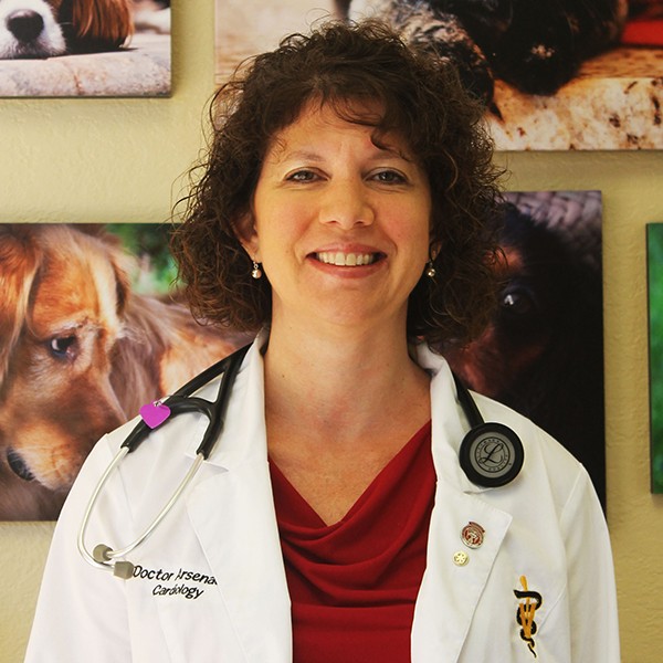 Dr. Wendy Arsenault Veterinarian in Bonita Springs Find Vet Care