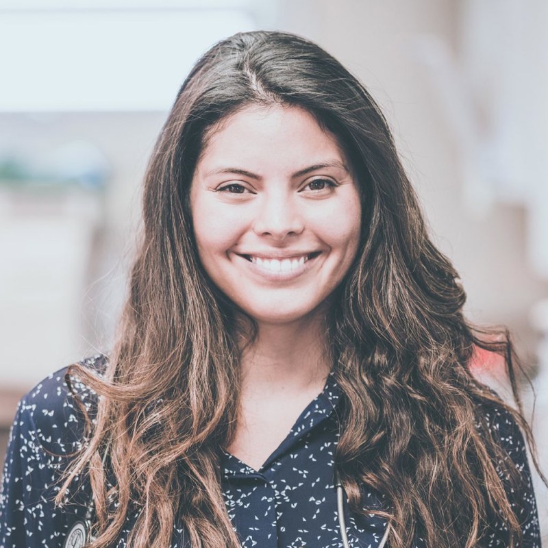 Meet Dr. Stephanie Santora, Morton Veterinarian