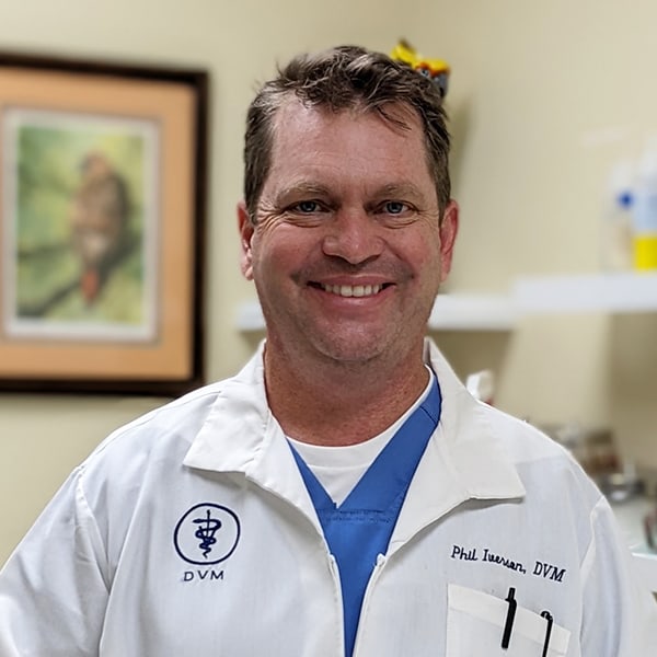 Meet Dr. Phil Iverson, Augusta Veterinarian