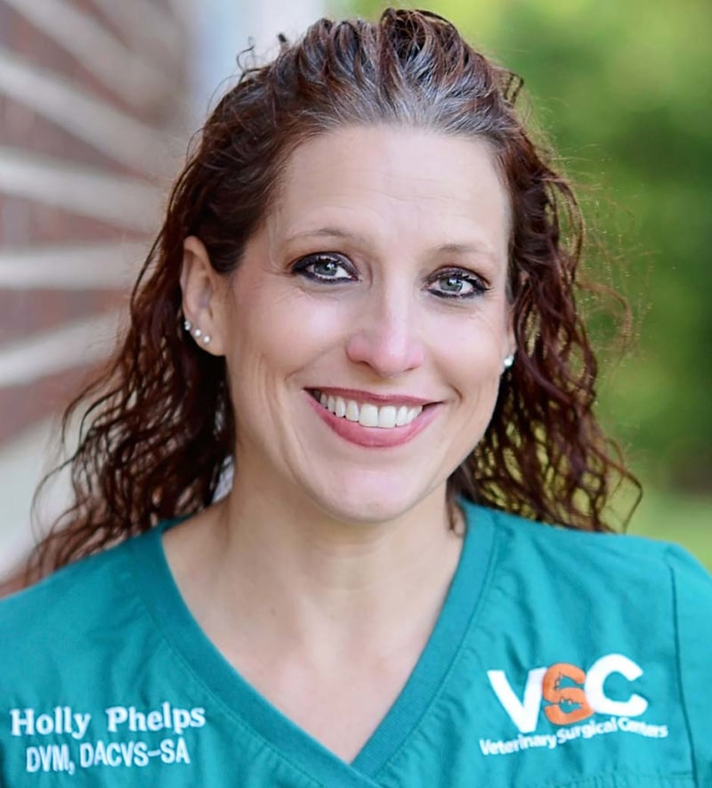 Meet Dr. Holly Phelps, Vienna Veterinary Surgeon