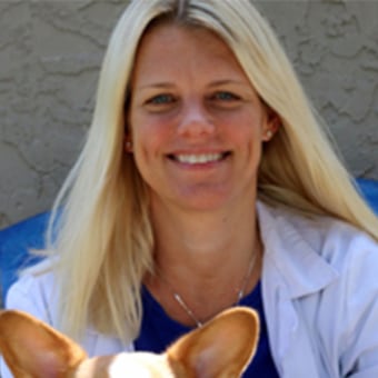 monterey animal hospital stuart stop interfering in