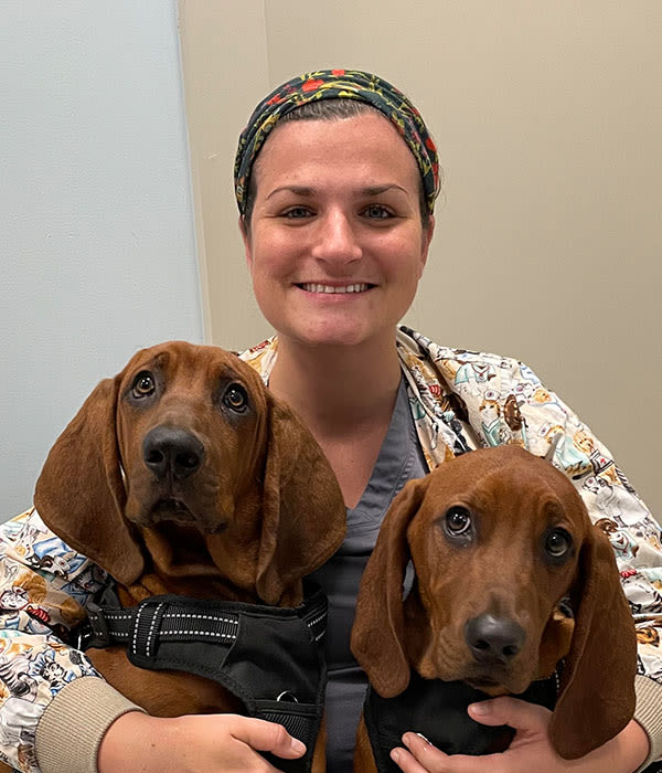 Meet Dr. Brooke Warren, North Fort Myers Veterinarian