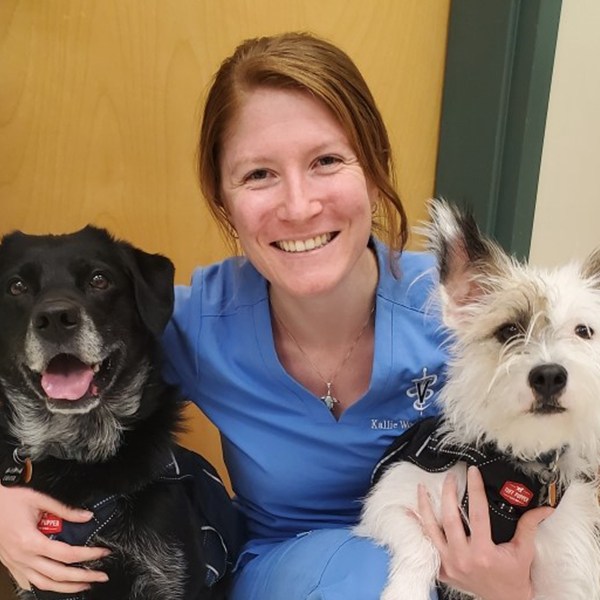 Meet Dr. Kallie Woodruff, Boulder County Veterinarian