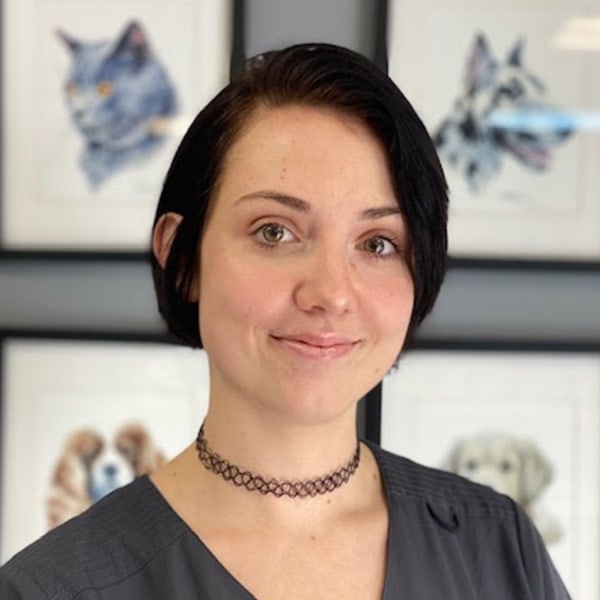 Julia Receptionist Bowman Road Animal Clinic