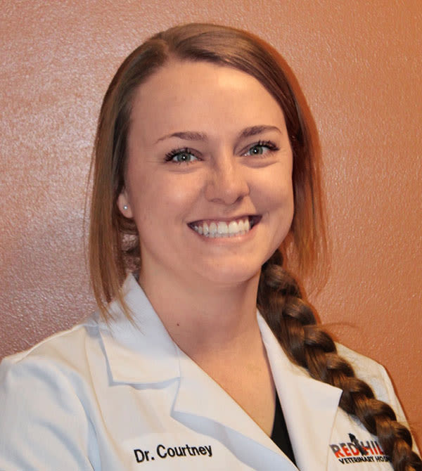 Meet Dr. Jessie Courtney, Gillette Veterinarian