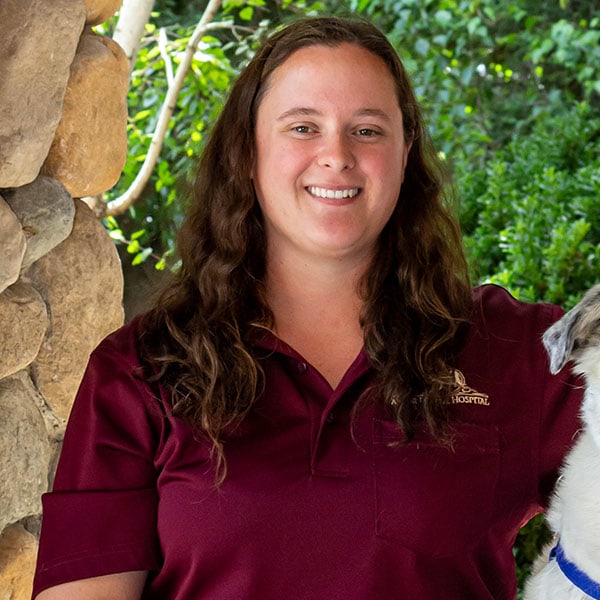 Meet Dr. Curry, Turlock Veterinarian