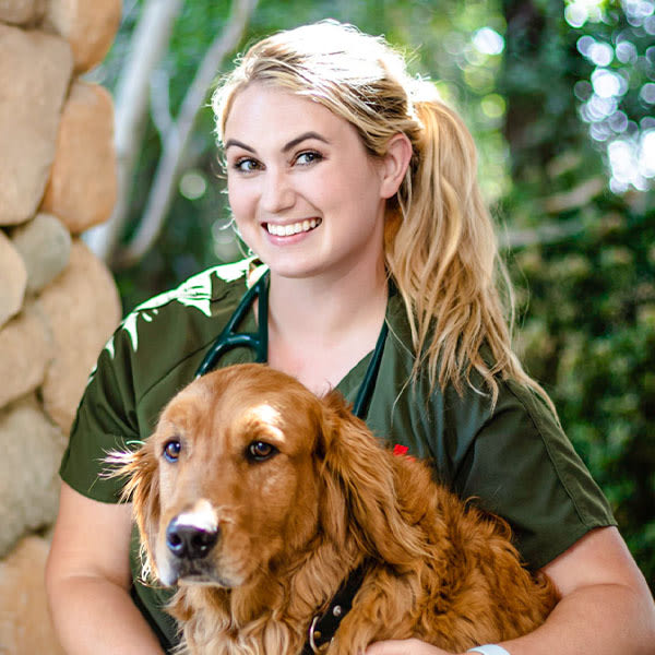 Meet Dr. Smith, Turlock Veterinarian