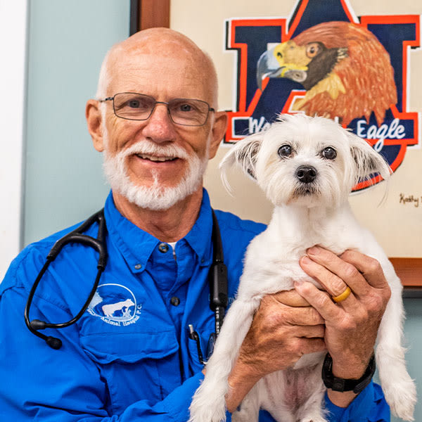 Meet Dr. Clint Hall, Jesup Veterinarian