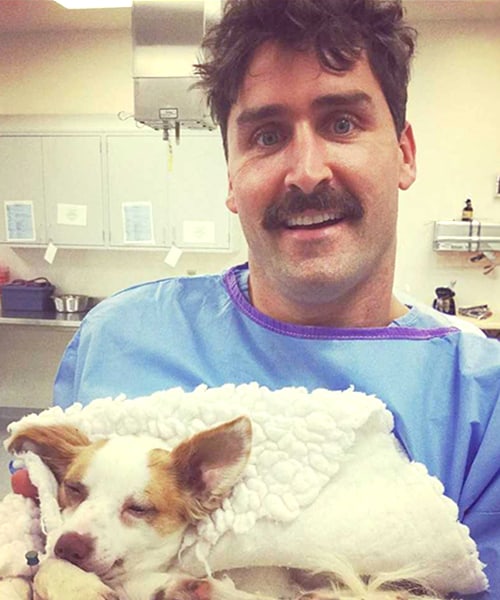 Meet Nathan Brown Orange County Emergency Veterinarian