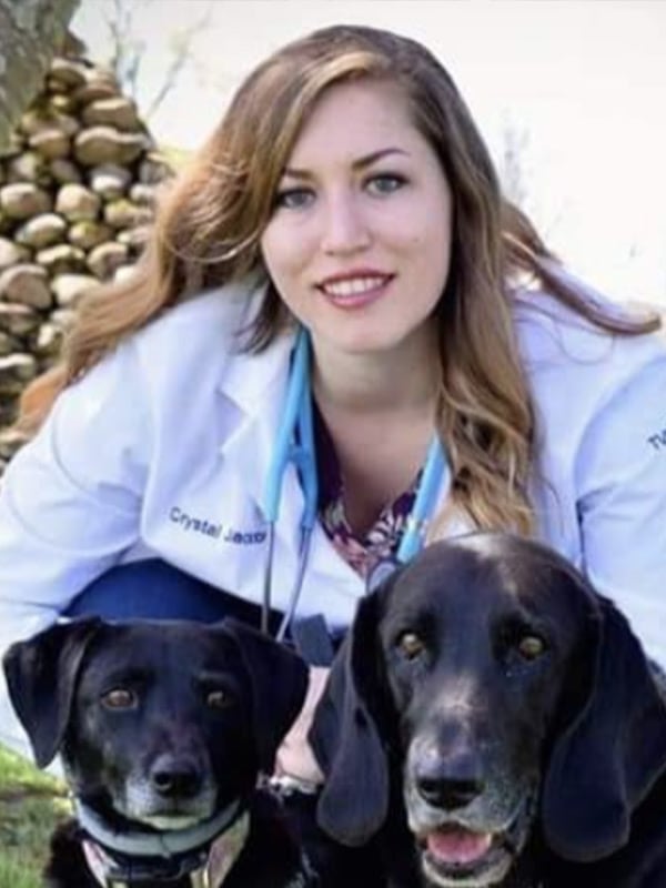 Meet Dr. Crystal Jackson Little Elm Veterinarian