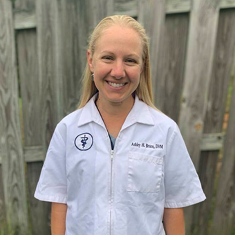 Meet Dr. Ashley Bruce, Ruckersville Veterinarian