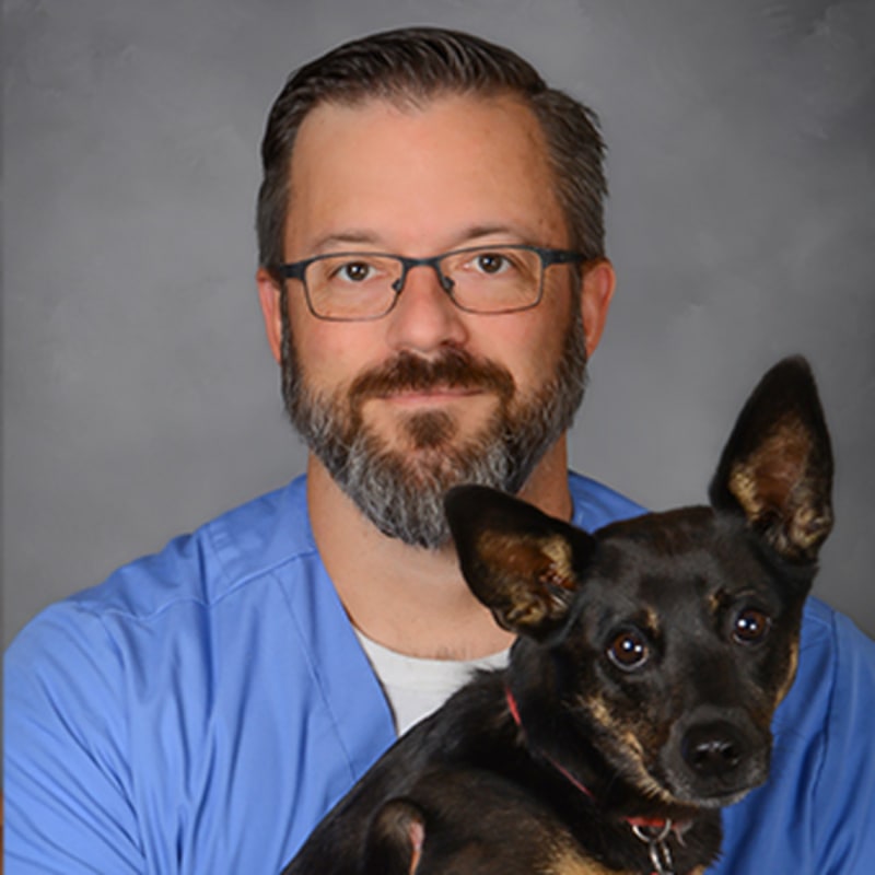 Meet Dr. Kerry Lovell, Crystal Lake Veterinarian