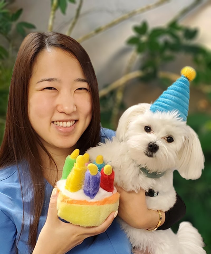 Meet Dr. Erin Yi Tucson Emergency Care Veterinarian
