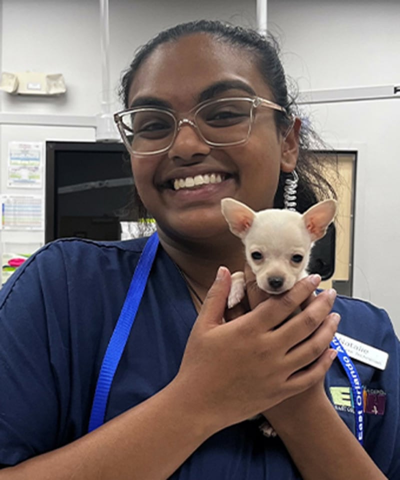 Meet Natalie, Orlando Kennel Supervisor