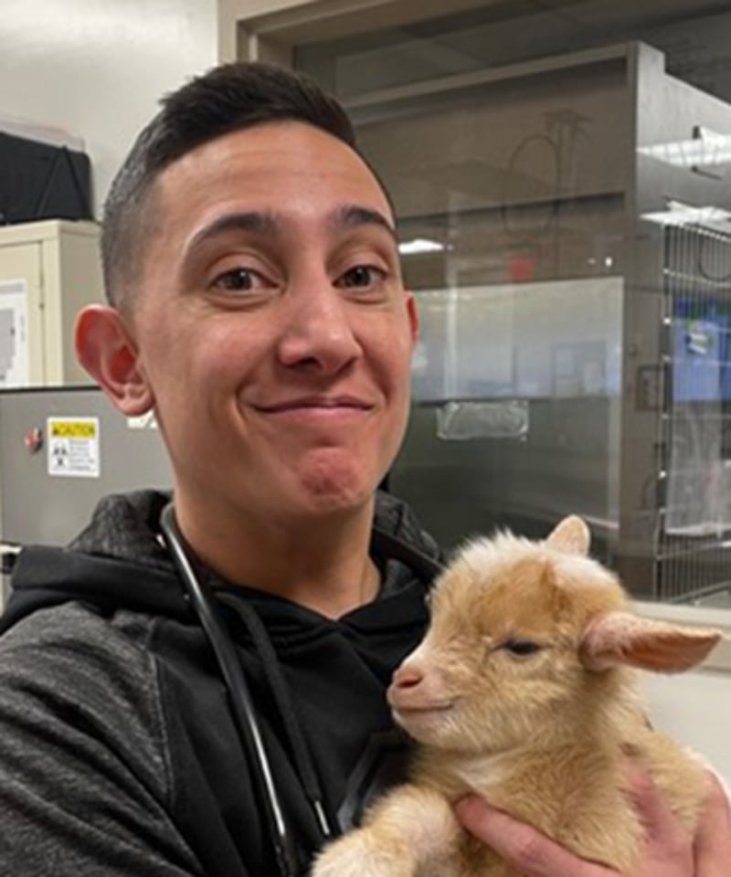 Meet Ash Chirco Tucson Emergency Veterinarian