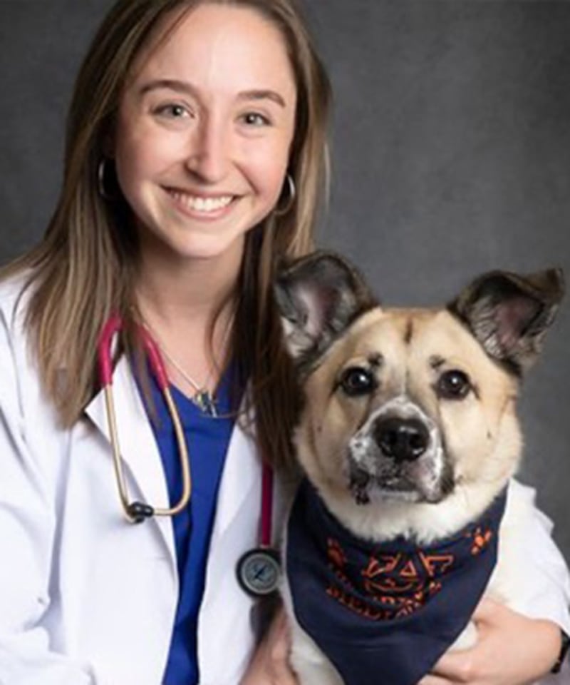 Meet Dr. Casey Pfister Tucson Emergency Care Veterinarian