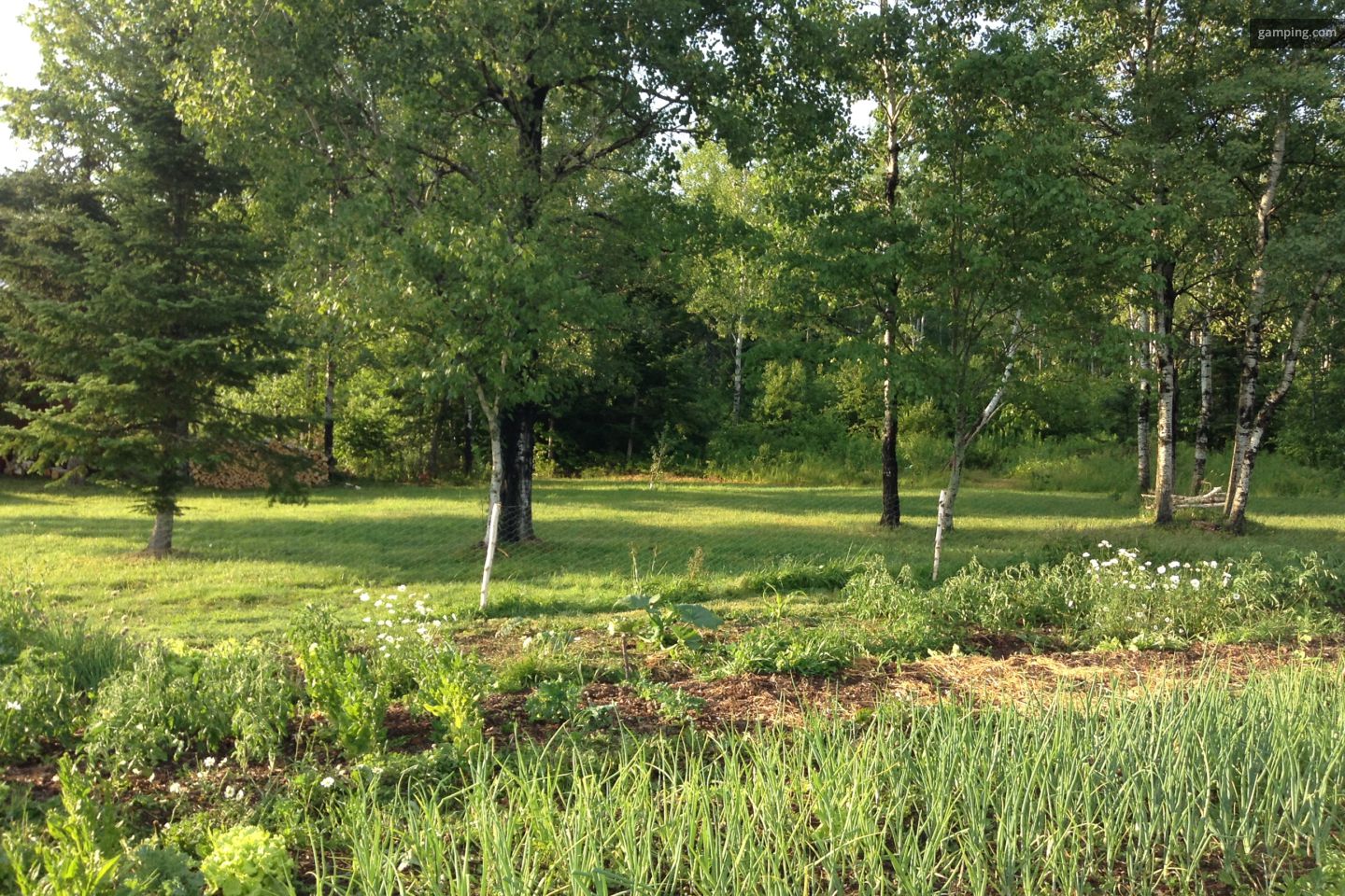 Private camping rentals at Cails Mills, New Brunswick · HomeCamper