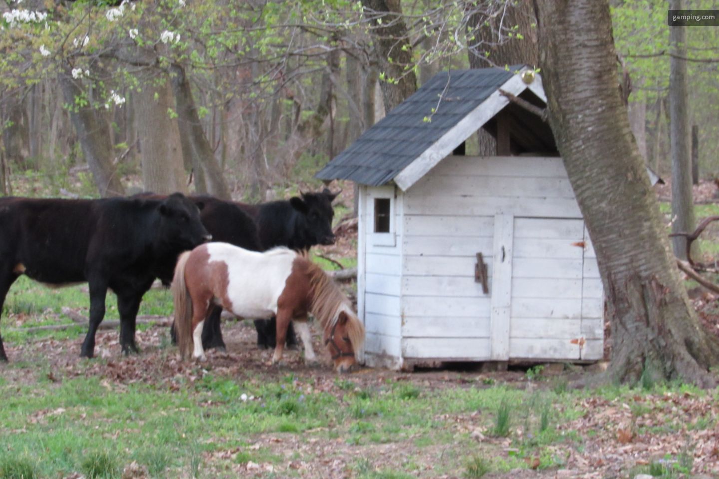 Private camping rentals at Honey Brook, Pennsylvania · HomeCamper