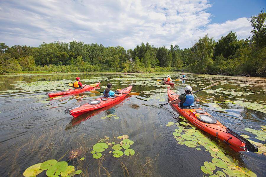 Harbourfront Canoe & Kayak Centre Kayaking [Book Online] Hijinks