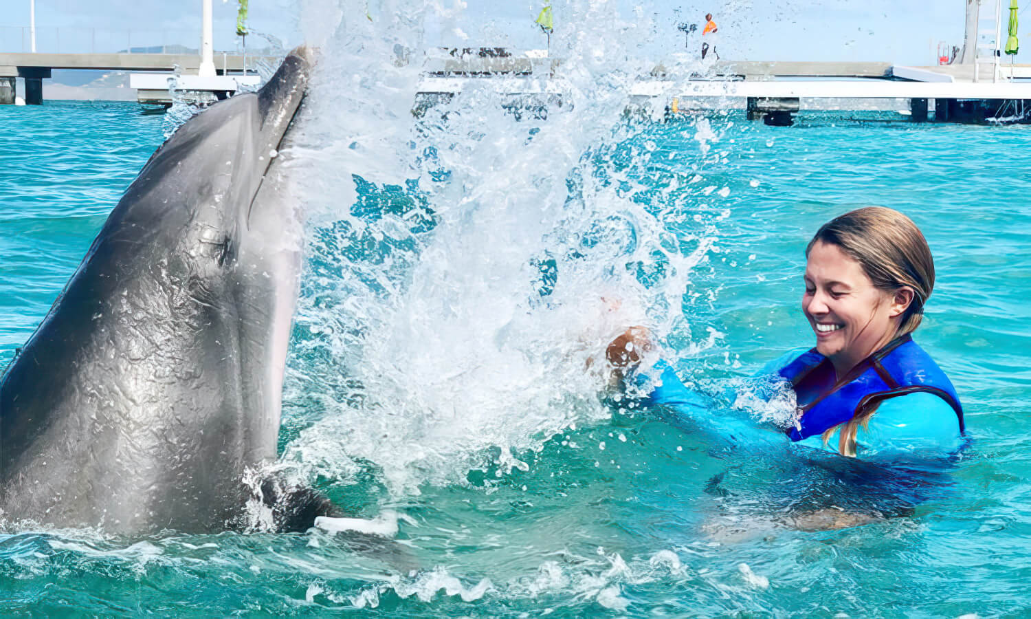 Dolphin Splash and Swim at Coral World Ocean Park Hijinks