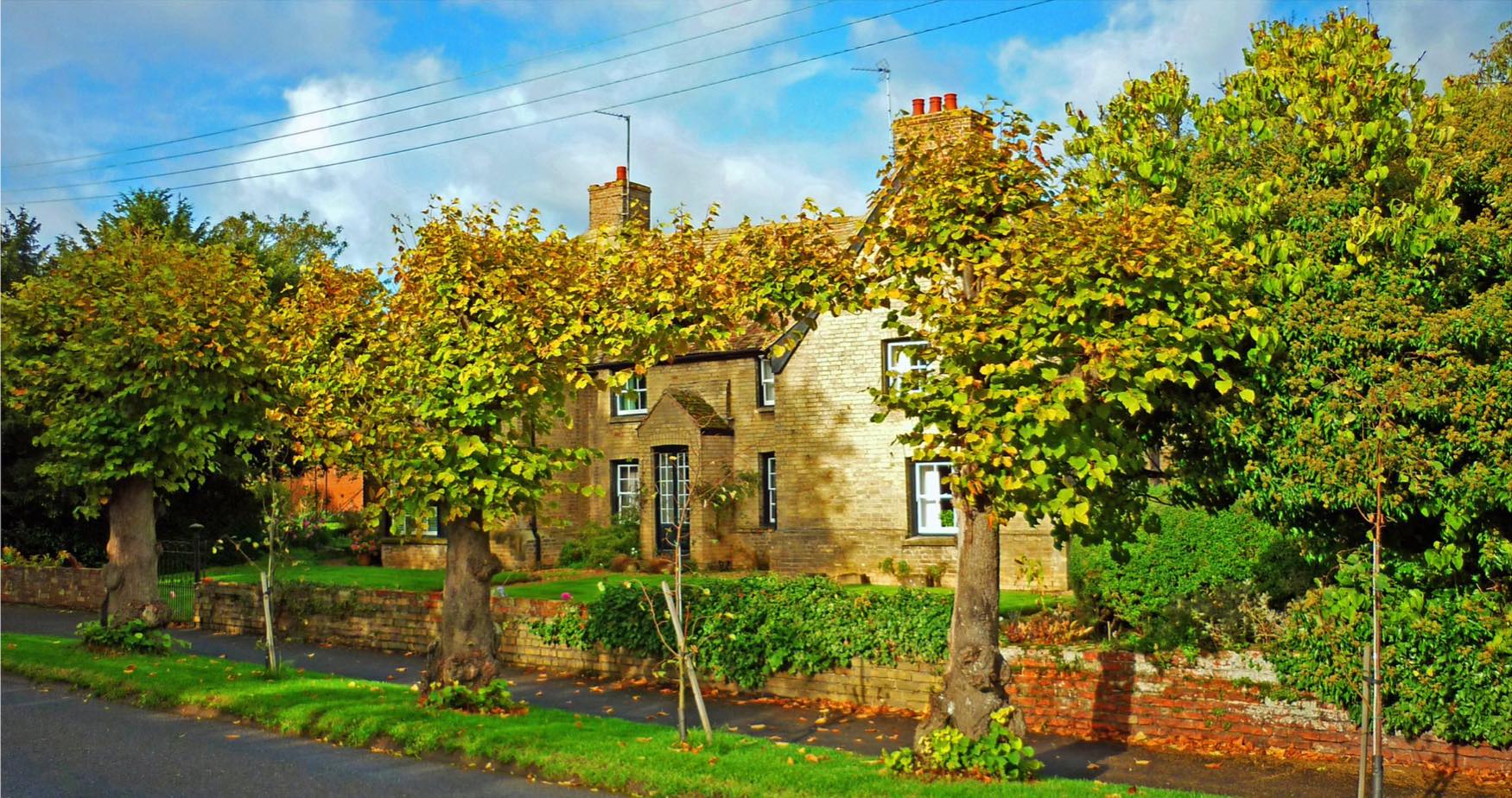 Solve Rook Grove. Wistow. Cambridgeshire. UK. jigsaw puzzle online with