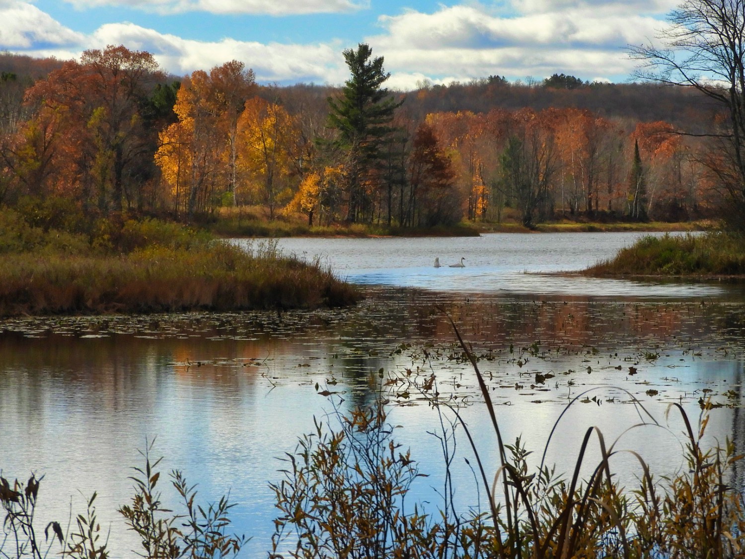Jigsaw Puzzle 20 pieces Bass Lake, Marengo, WI Jigidi
