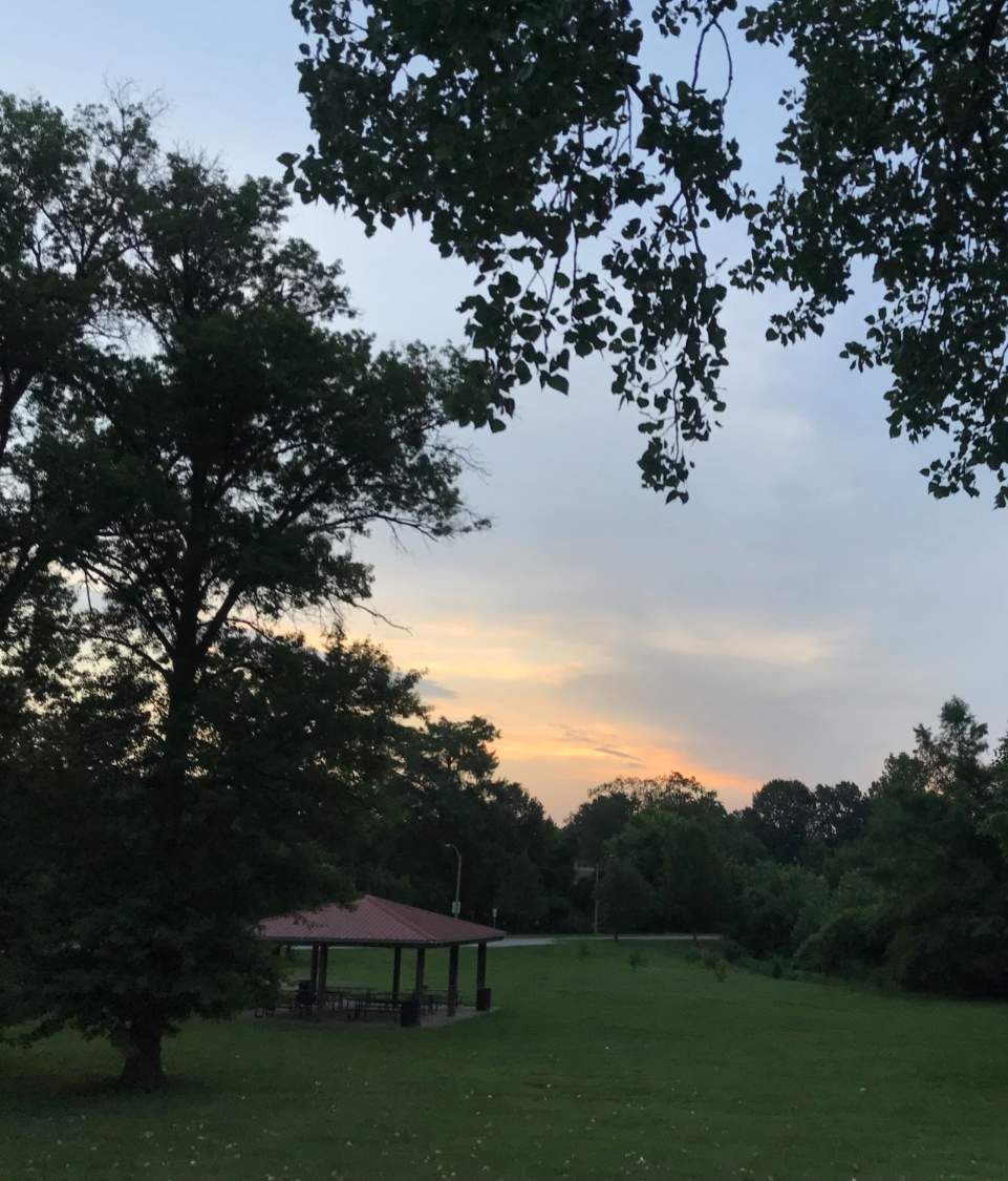 Solve Willmore Park Sunrise, July 29, 2023 (medium) jigsaw puzzle