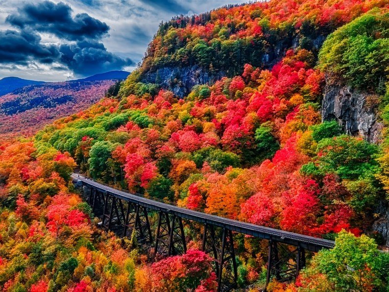 Jigsaw Puzzle 63 pieces New Hampshire Fall, Crawford Notch Train