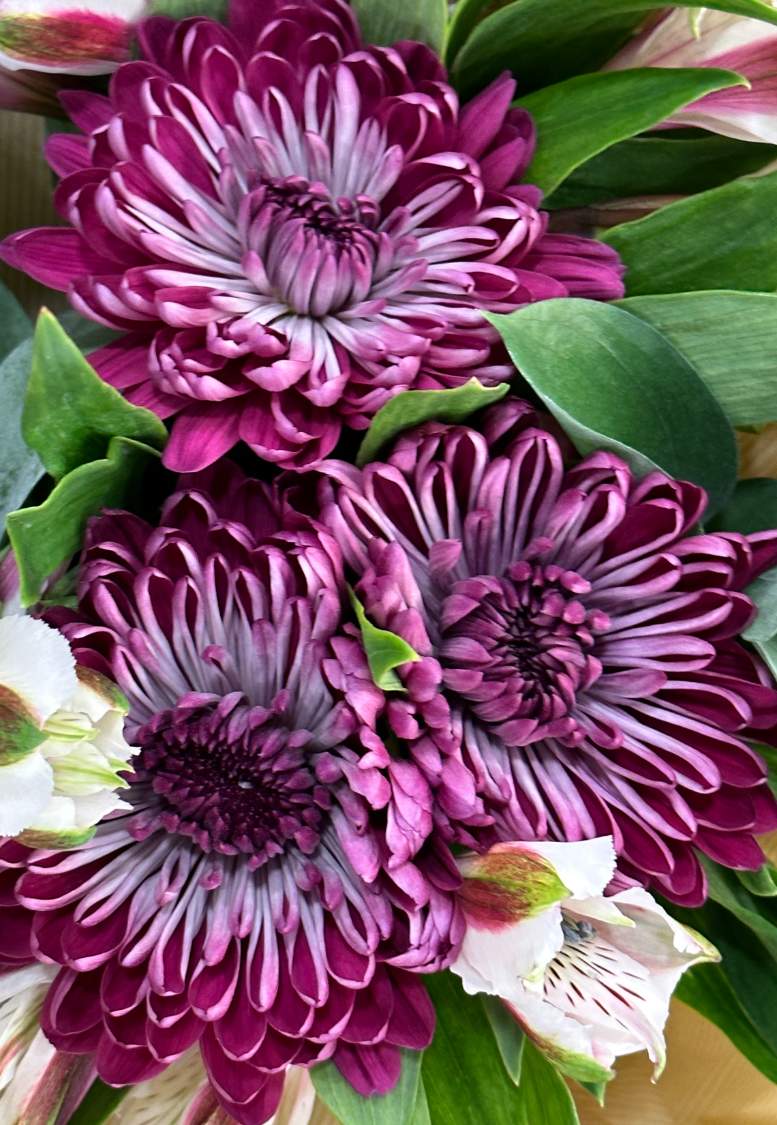 Solve Chrysanthemums for sale! jigsaw puzzle online with 54 pieces