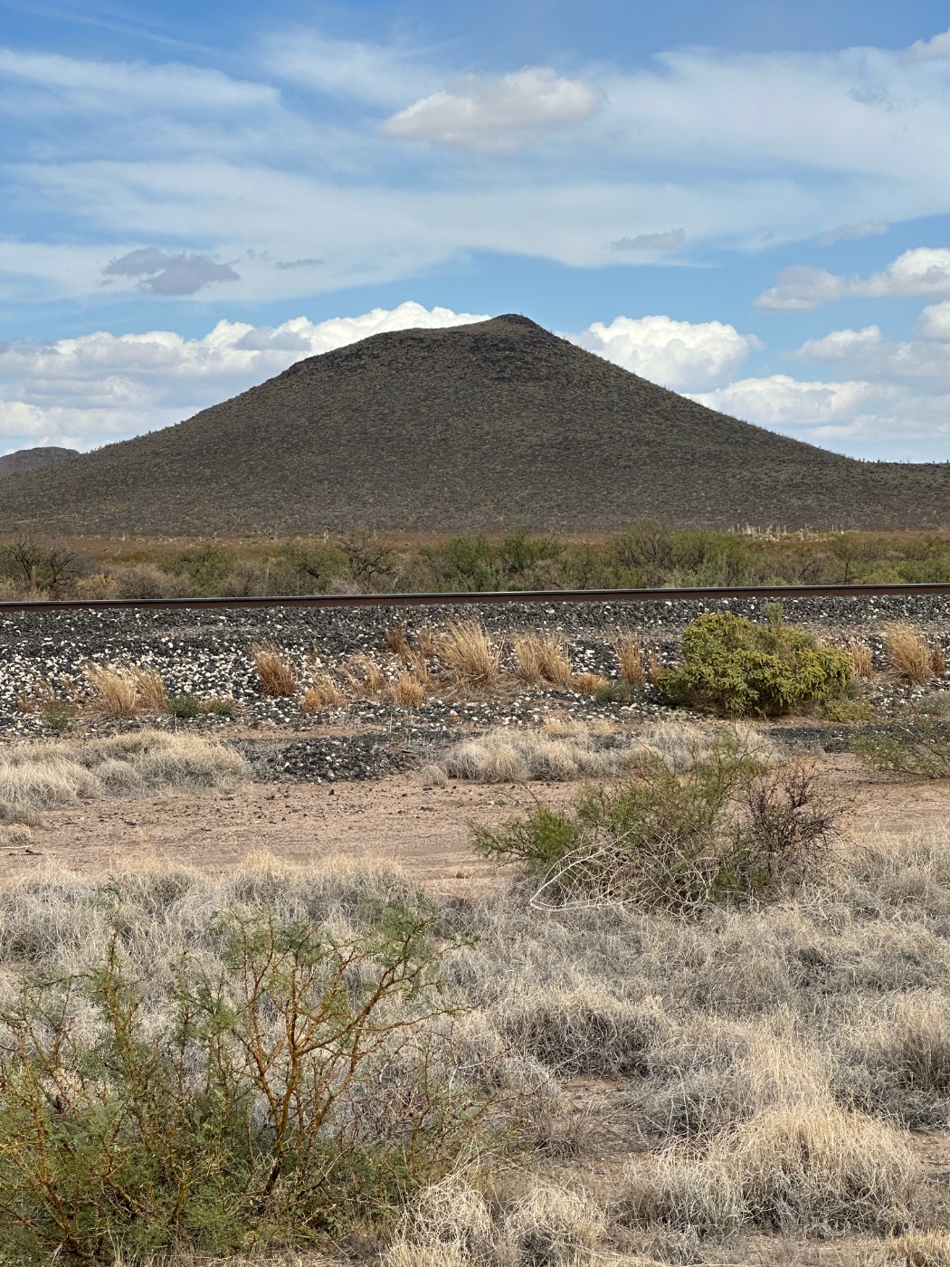 Solve IMG_1264 jigsaw puzzle online with 35 pieces