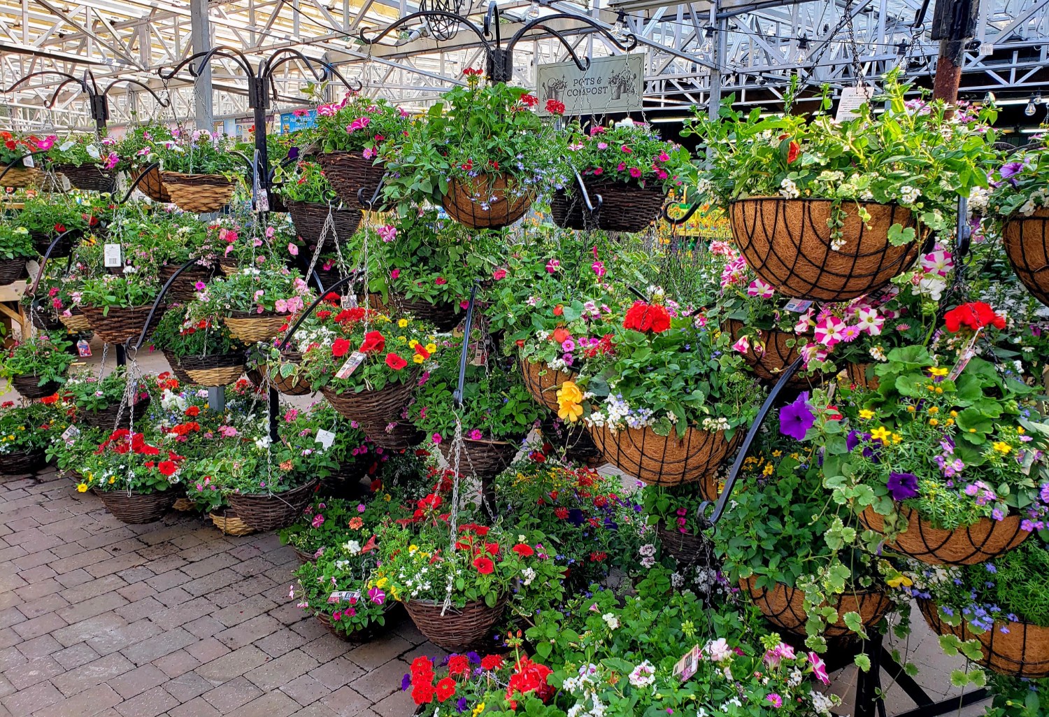 Solve Hanging Floral Baskets for sale at the Garden Centre jigsaw