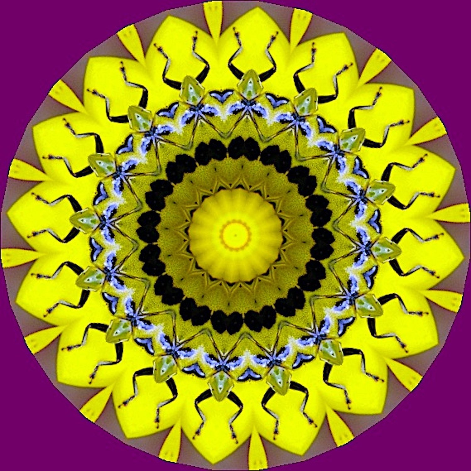 Solve 1 very large jigsaw puzzle online with 225 pieces