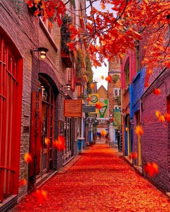 Solve Shops in a Colorful London Sidestreet jigsaw puzzle online with