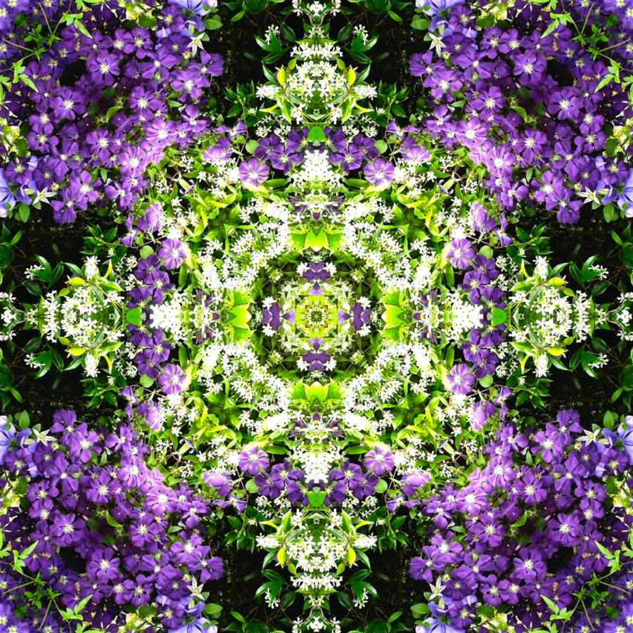 Solve flowering trees 11 small jigsaw puzzle online with 64 pieces