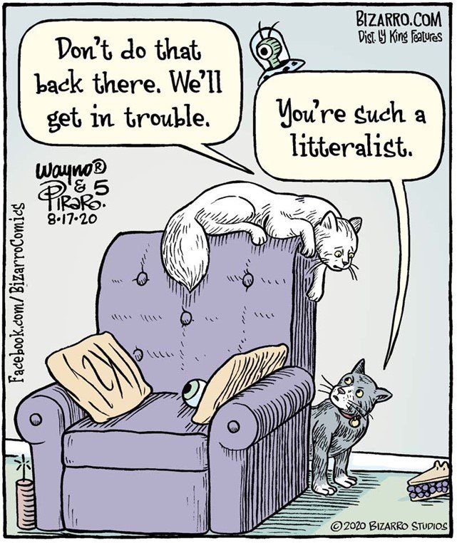 Solve The World Is His Litter Box. (Piraro 5) jigsaw puzzle online