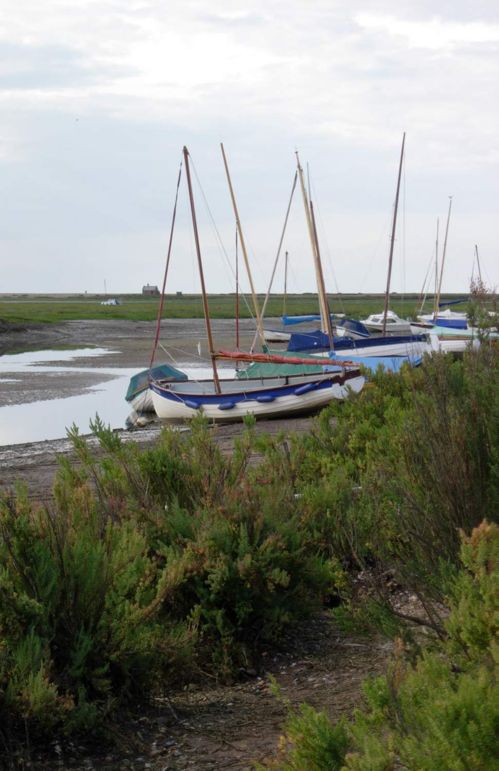 Solve Blakeney jigsaw puzzle online with 425 pieces