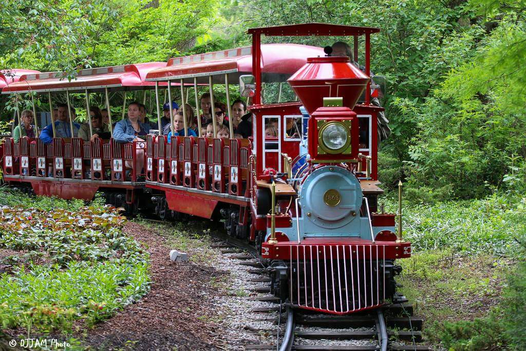 Solve Cincinnati Zoo Train jigsaw puzzle online with 96 pieces