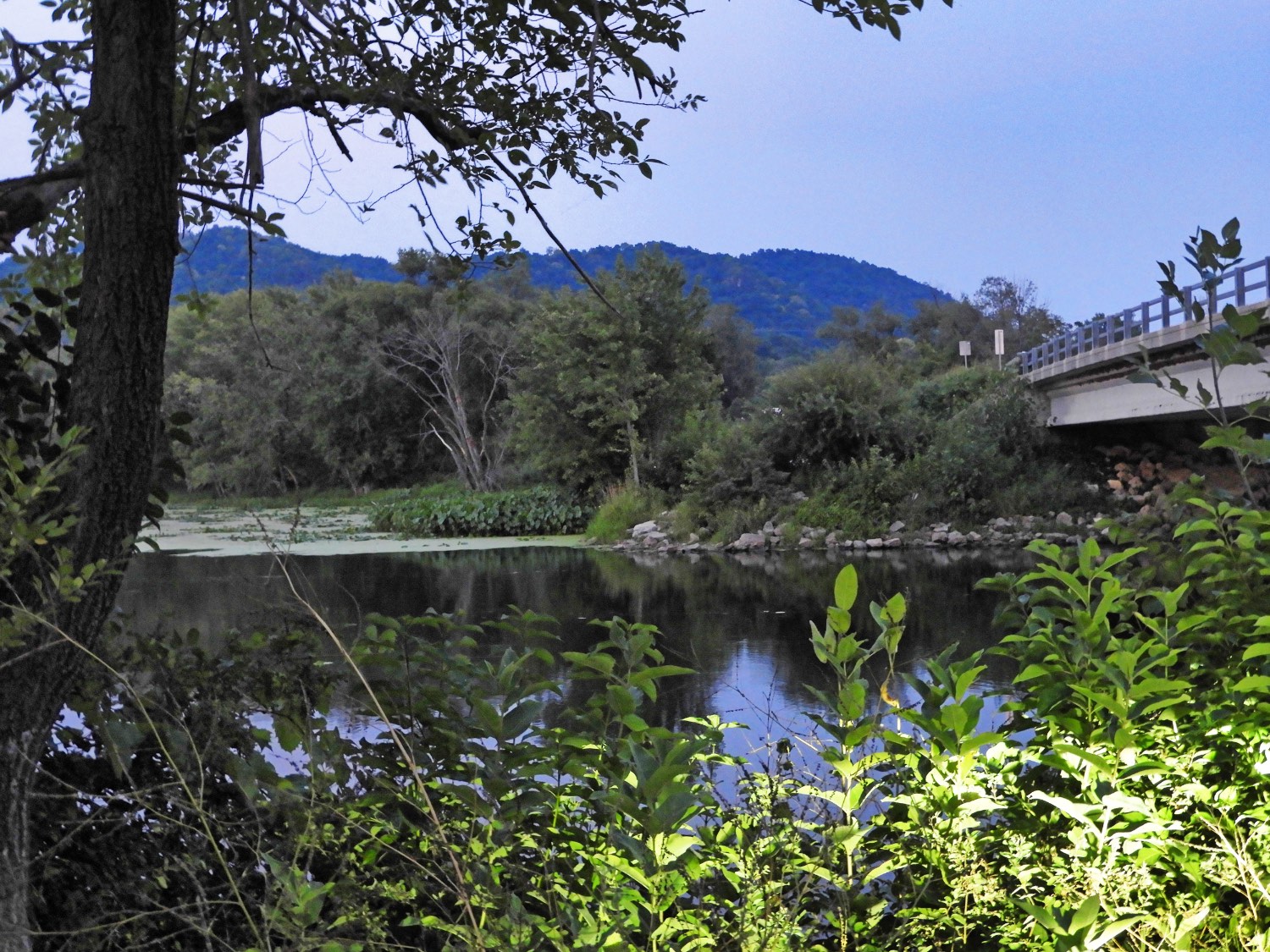 Solve The bridge crossing over to Goose Island, Stoddard, WI jigsaw