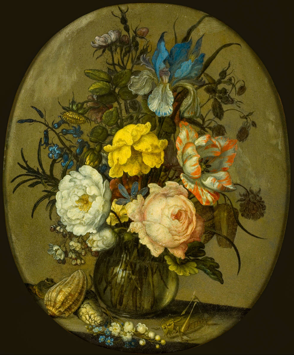 Solve Flowers in a glass vase, with some shells and insects jigsaw